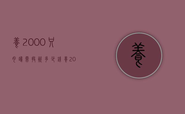 养2000只肉鸽需投资多少钱（养2000只肉鸽需投资多少钱呀）