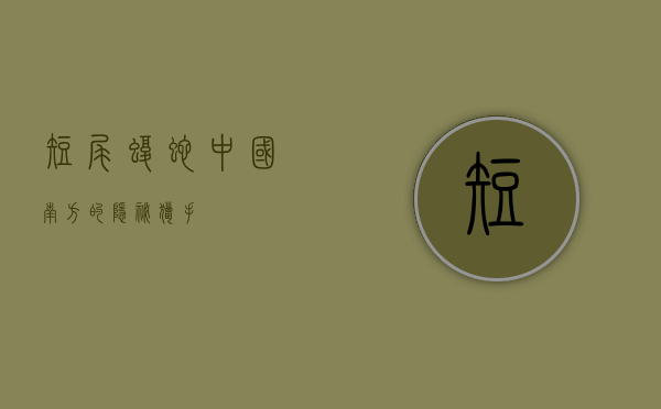 短尾蝮蛇，中国南方的隐秘猎手