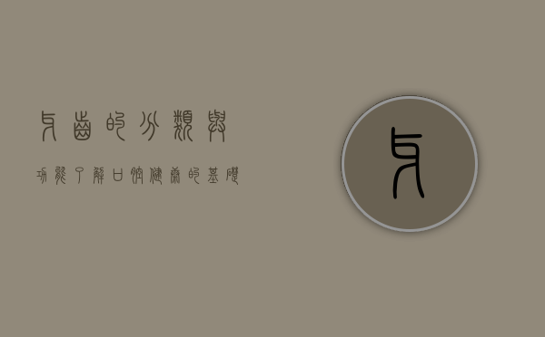 牙齿的分类与功能，了解口腔健康的基础