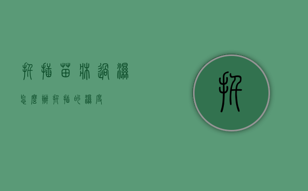 扦插苗床过湿怎么办（扦插的湿度）