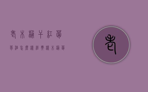 老木桶干红葡萄酒怎么样（经典橡木桶葡萄红酒）