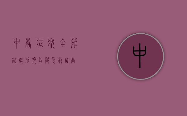 中暑症状全解析，识别、预防与急救指南