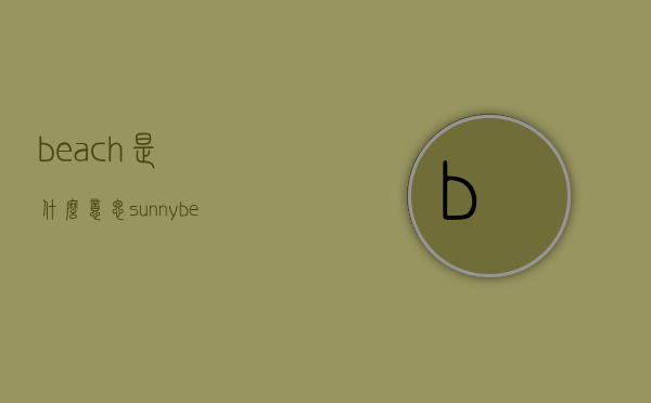 beach是什么意思（sunnybeach是什么意思）