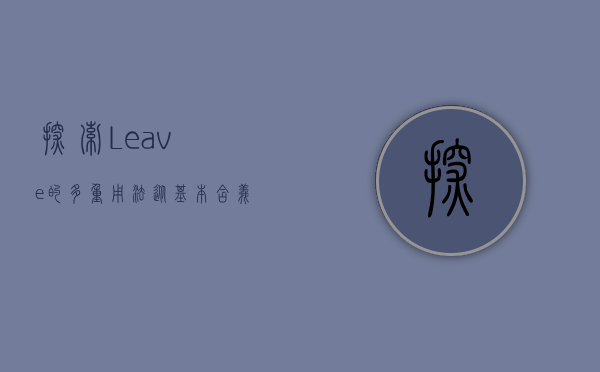 探索Leave的多重用法，从基本含义到高级表达