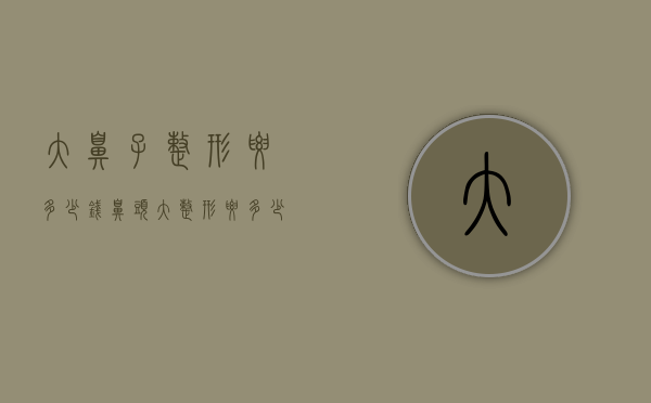 大鼻子整形要多少钱（鼻头大整形要多少钱）