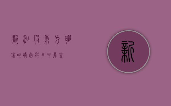 新加坡，东方明珠的崛起与未来展望