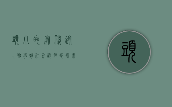 头小的奥秘，从生物学到社会认知的探索