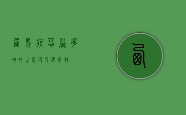 西乌旗，草原明珠的生态与文化之旅