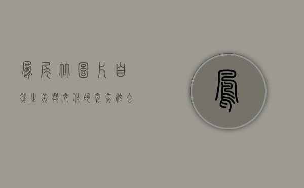 凤尾竹图片，自然之美与文化的完美融合