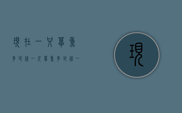 现在一只草鱼多少钱一斤（草鱼多少钱一条多少斤）