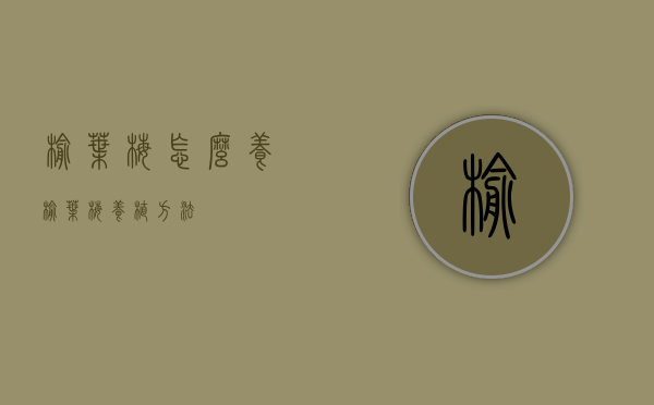 榆叶梅怎么养（榆叶梅养植方法）