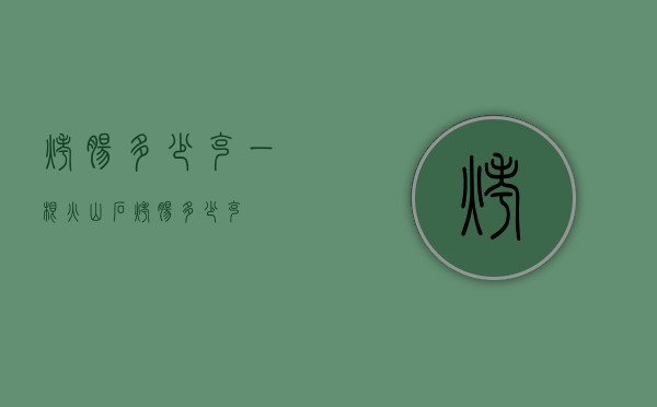 烤肠多少克（一根火山石烤肠多少克）