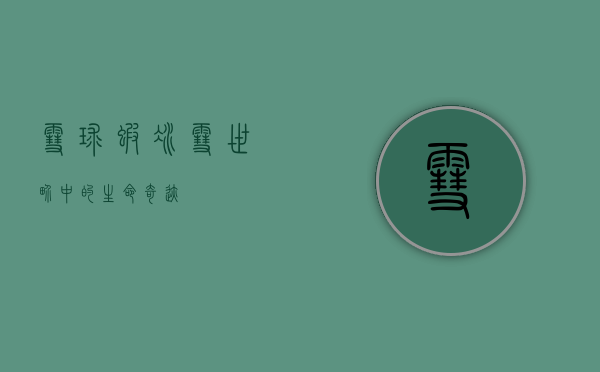 雪球虾,冰雪世界中的生命奇迹 雪球虾,冰雪世界中的生命奇迹