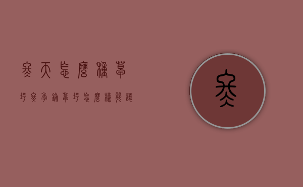 冬天怎么种草坪（冬季铺草坪怎么样能让它成活）