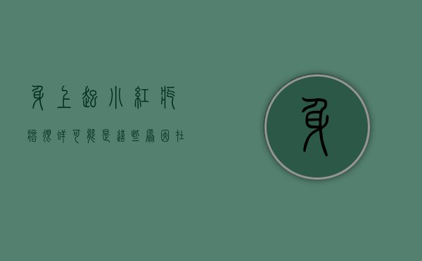 身上起小红疙瘩很痒？可能是这些原因在作祟！