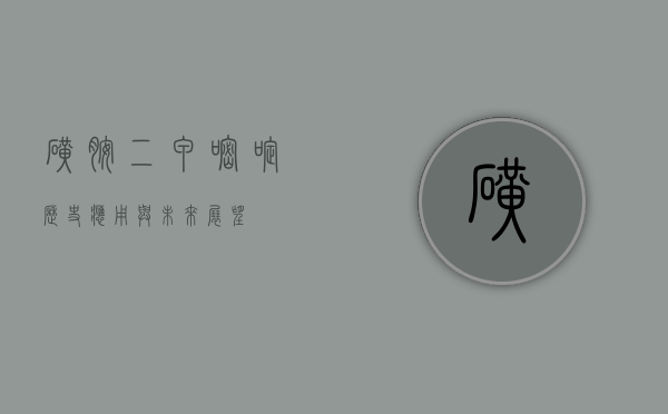 磺胺二甲嘧啶，历史、应用与未来展望