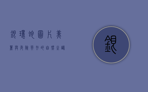 银环蛇图片，美丽与危险并存的自然之谜