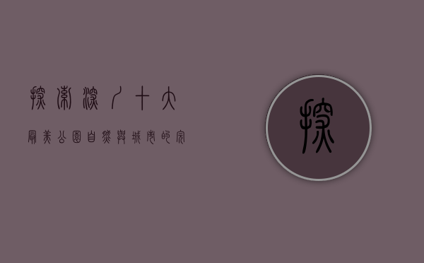 探索深圳十大最美公园，自然与城市的完美融合