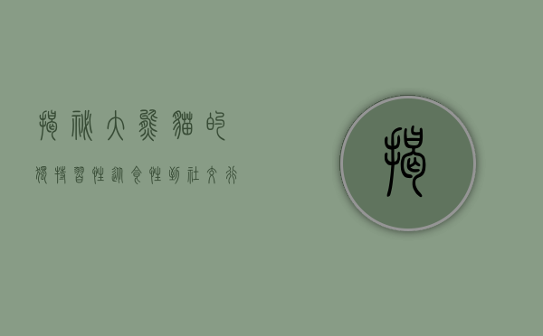 揭秘大熊猫的独特习性，从食性到社交行为的全面解析