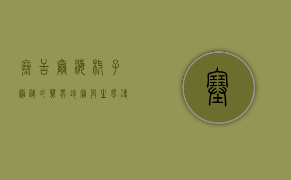塞舌尔海椰子，神秘的热带珍宝与生态传奇