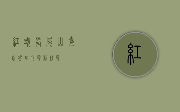 红头长尾山雀，自然界的灵动精灵