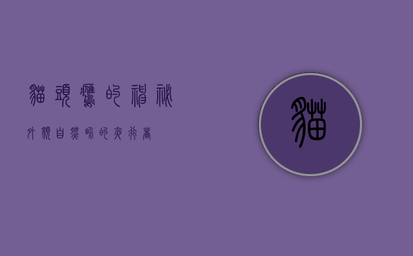 猫头鹰的神秘外貌，自然界的夜行者
