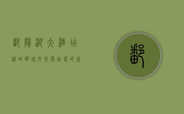 鄱阳湖大酒店，湖畔明珠，文化与自然的完美交融