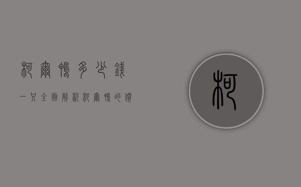 柯尔鸭多少钱一只？全面解析柯尔鸭的价格与饲养指南