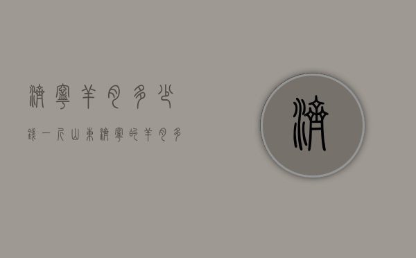 济宁羊肉多少钱一斤（山东济宁的羊肉多少钱）