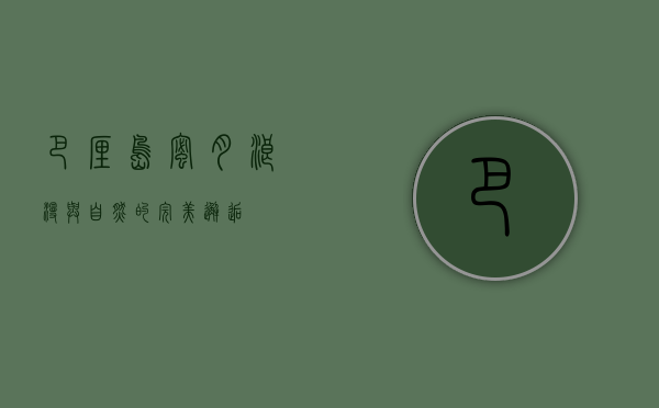 巴厘岛蜜月，浪漫与自然的完美邂逅