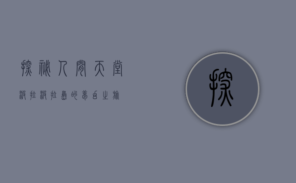 探秘人间天堂，波拉波拉岛的梦幻之旅