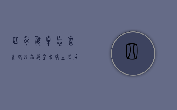 四季海棠怎么水培（四季海棠水培生根后怎么种到土里）