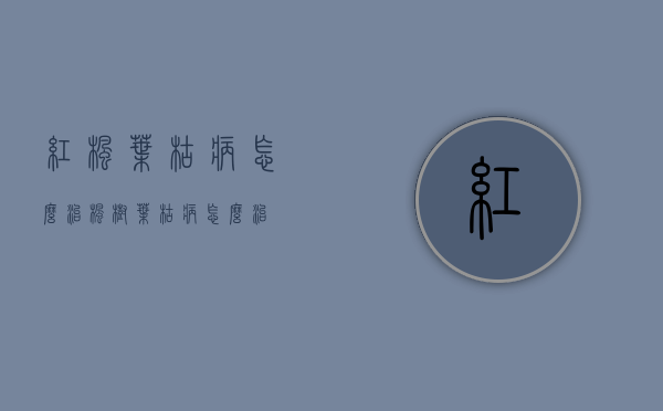 红枫叶枯病怎么治（枫树叶枯病怎么治）