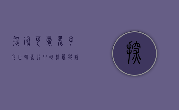 探索可爱兔子的世界，图片中的温馨与欢乐