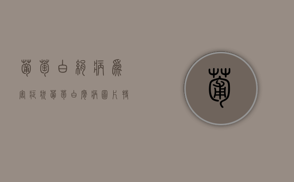 葡萄白绢病为害症状（葡萄白腐病图片 特效药）
