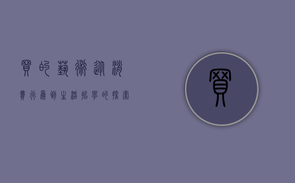 买的艺术，从消费行为到生活哲学的探索