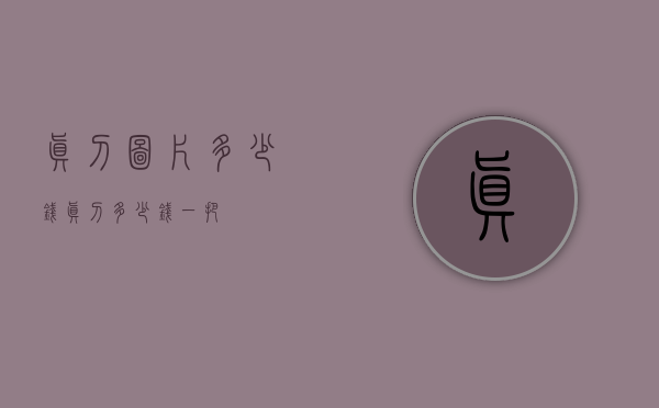 真刀图片多少钱（真刀多少钱一把）