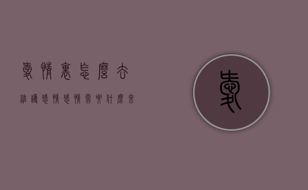 爱情里怎么去维护感情（感情需要什么来维护）