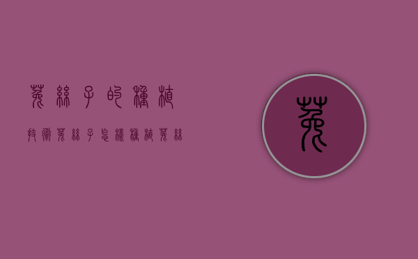 菟丝子的种植技术（菟丝子怎样种植）（菟丝子苗图）