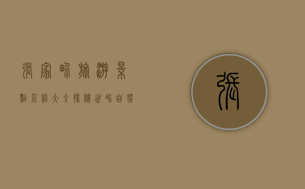 张家界旅游景点介绍大全，探秘世界自然遗产的奇幻之旅