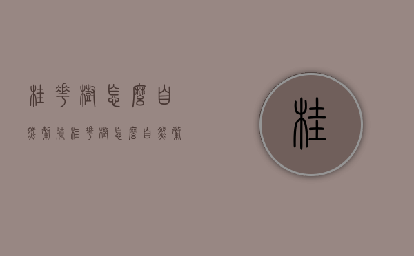 桂花树怎么自然繁殖（桂花树怎么自然繁殖的）