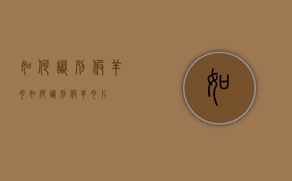 如何识别假羊肉（如何识别假羊肉片）