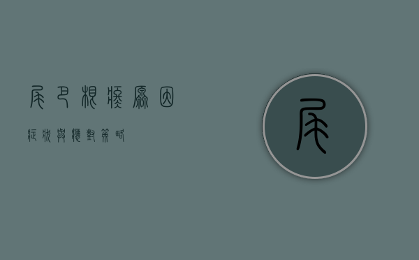 尾巴根疼，原因、症状与应对策略