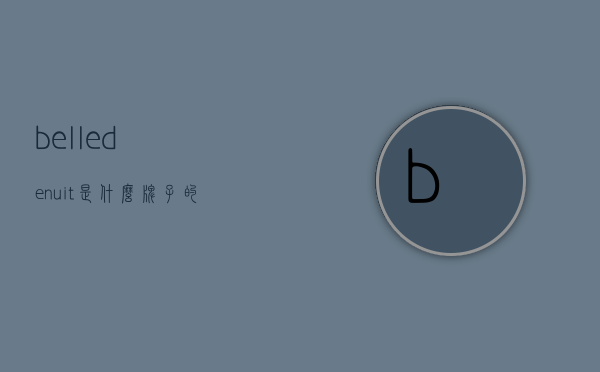 belledenuit是什么牌子的简单介绍