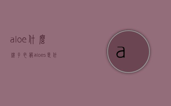 aloe什么牌子衣服（aloes是什么牌子）