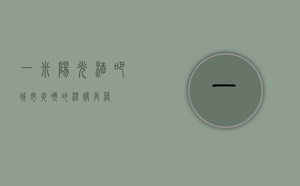 一米阳光酒吧，城市夜晚的温暖角落