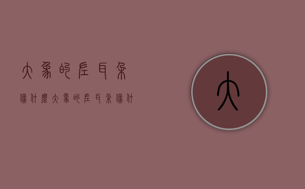 大象的左耳朵像什么（大象的左耳朵像什么打一生肖）