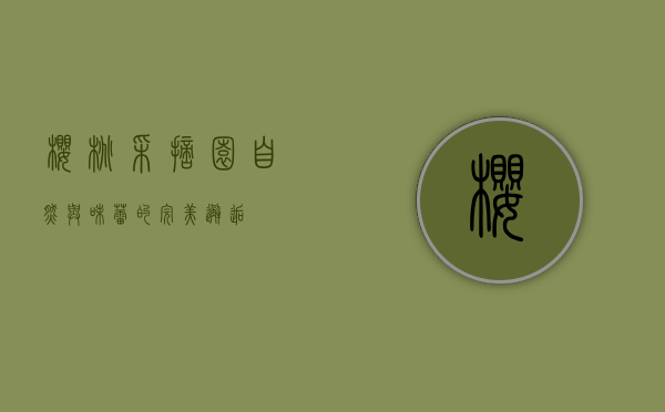 樱桃采摘园，自然与味蕾的完美邂逅