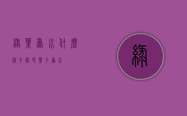 绿叶香水什么牌子（绿色叶子香水）
