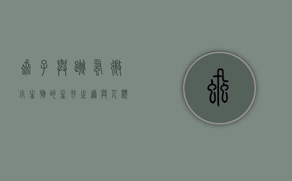 虱子与跳蚤，微小生物的生存之道与人类应对策略